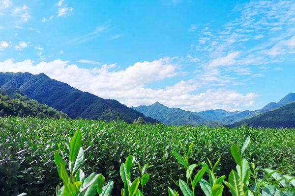 宁国.jpg 宁国.jpg