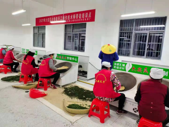 金寨县：六安瓜片传统手工艺为乡村振兴增添活力2.png