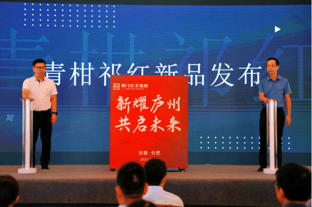 新耀庐州 共启未来2.png 新耀庐州 共启未来2.png